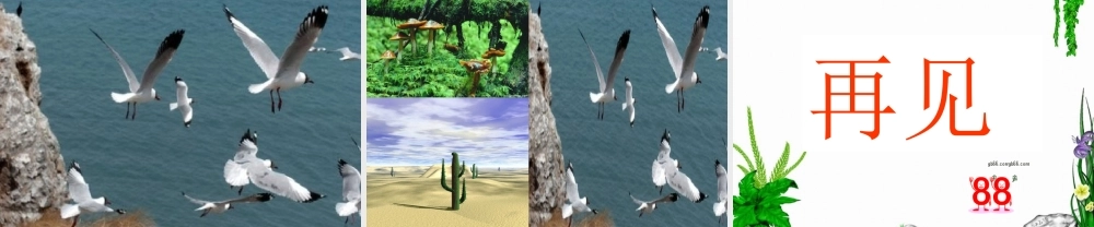 七年级语文下册 第10课(大自然的启示)课件 鄂教版 课件