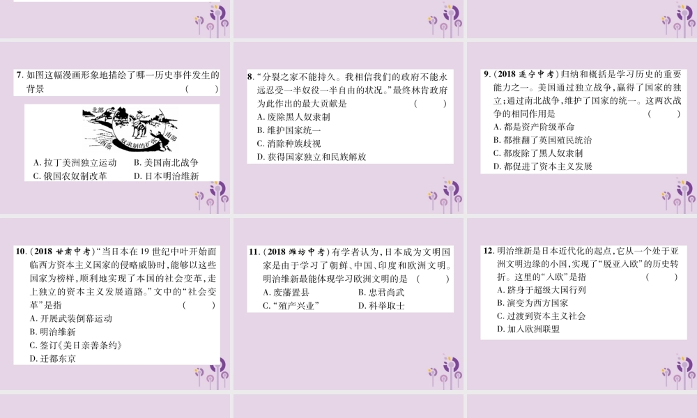 中考历史总复习 第一编 教材知识速查篇 模块三 世界近代史 第18讲 资本主义制度的扩展(精练)课件