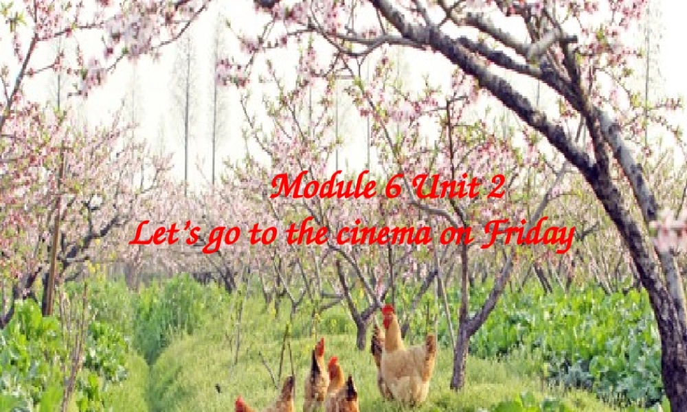七年级英语上册 module6 Unit2 Let s go to the cinema on Friday课件(2) 外研版 课件