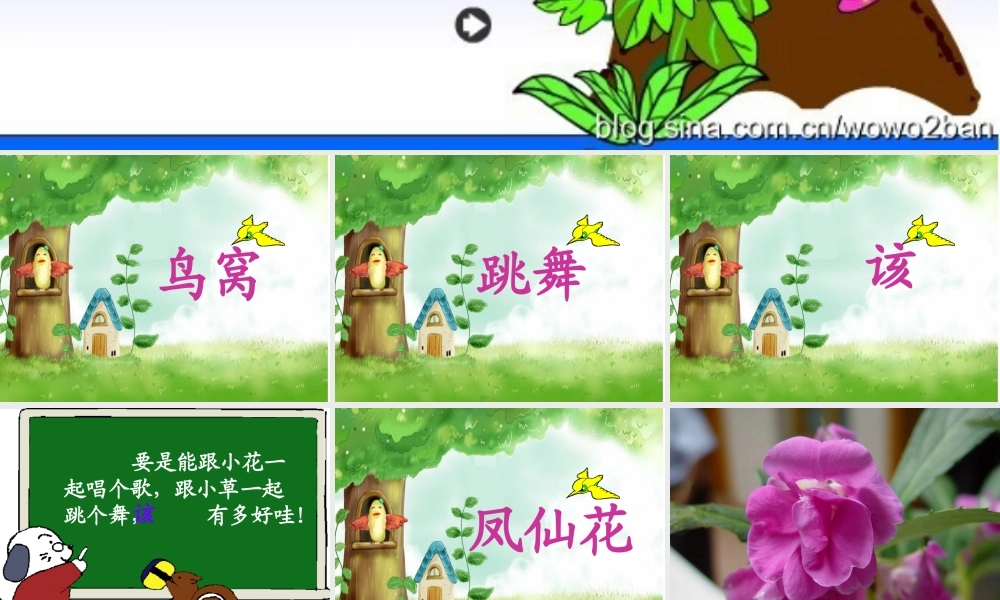 小鸟和牵牛花12