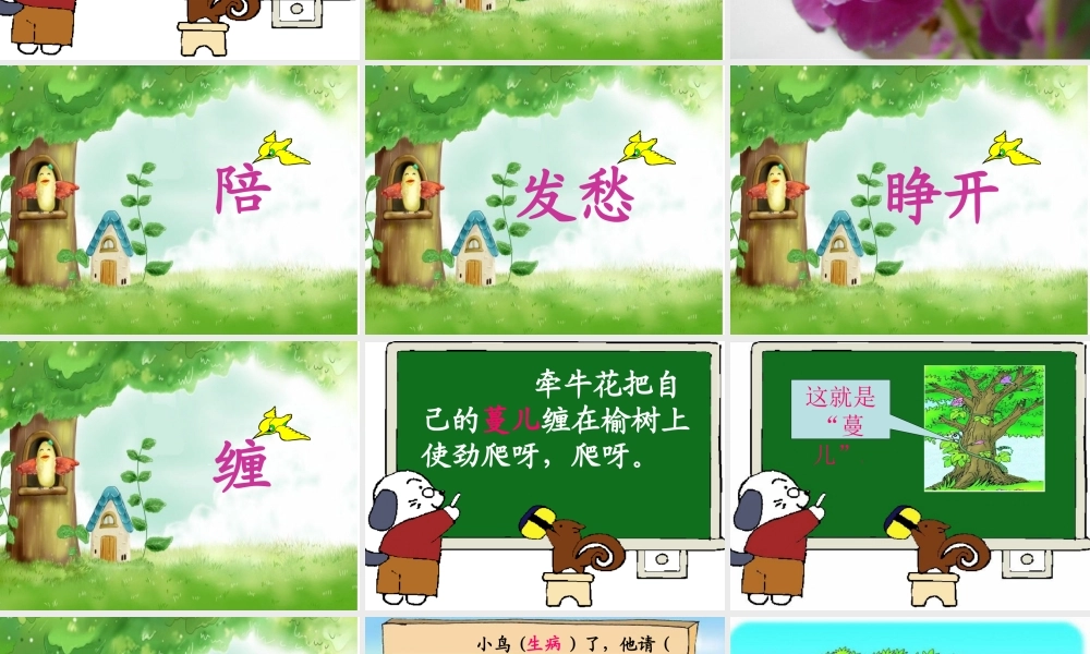 小鸟和牵牛花12