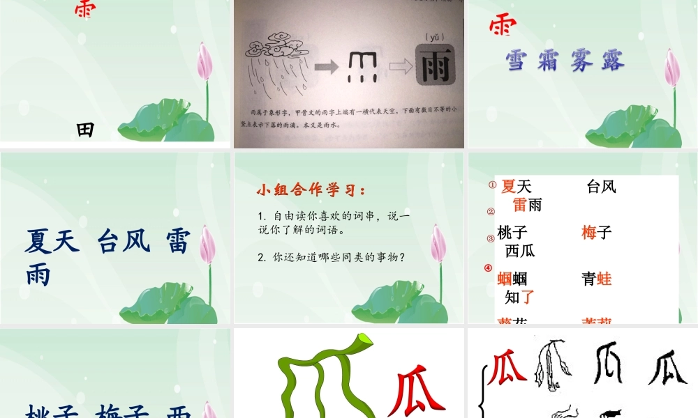 一年级语文下册识字5