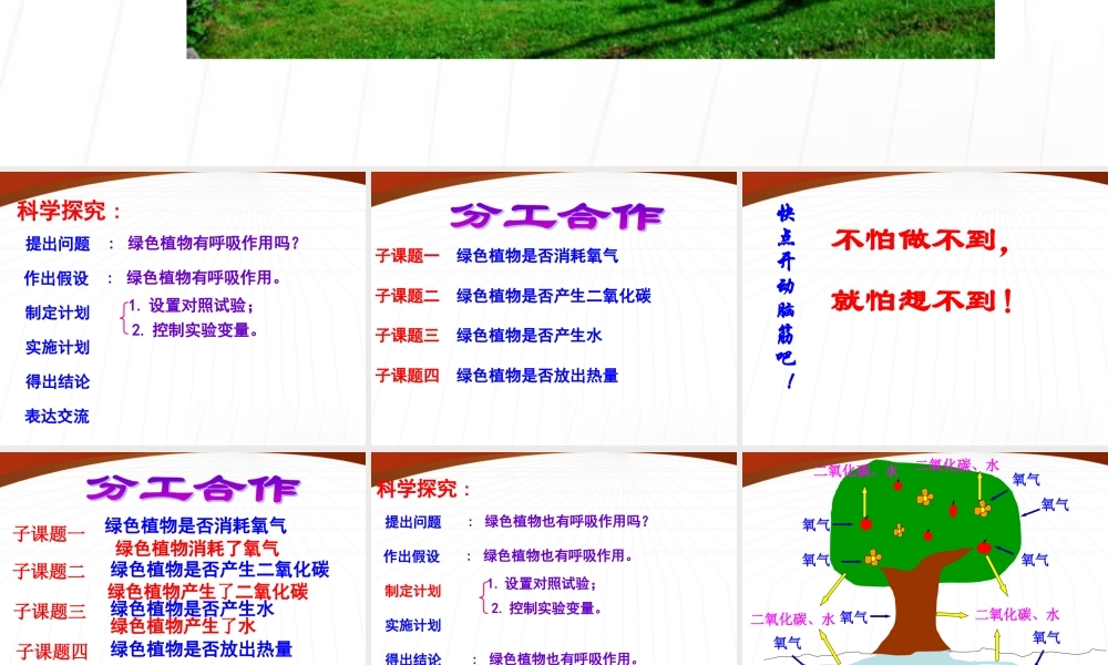 七年级生物上册 第四节植物的呼吸作用课件 苏教版 课件