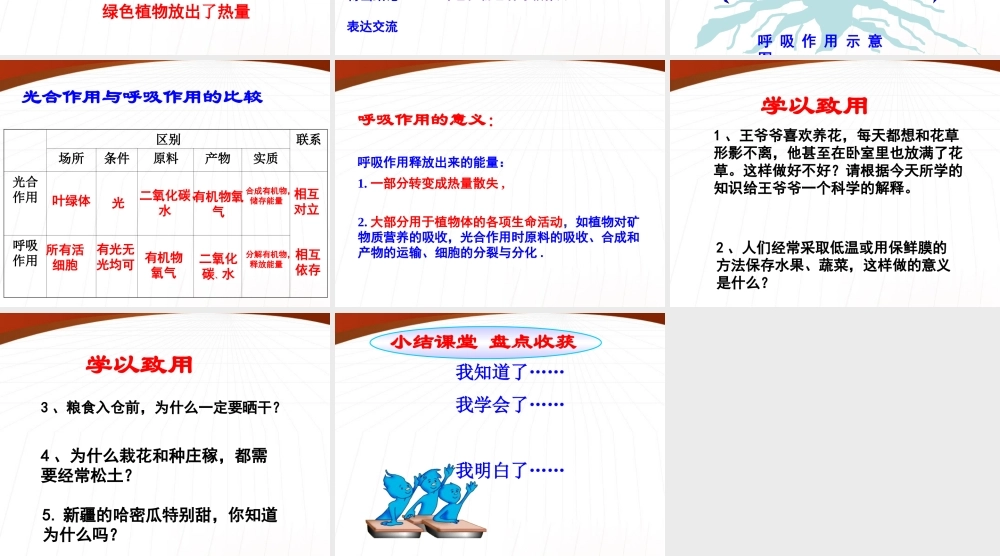 七年级生物上册 第四节植物的呼吸作用课件 苏教版 课件