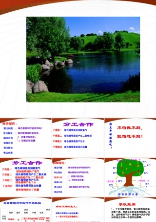 七年级生物上册 第四节植物的呼吸作用课件 苏教版 课件
