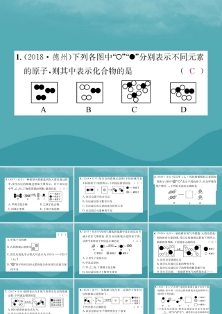 中考化学复习 滚动小专题(三)微观模型图课件 鲁教版 课件