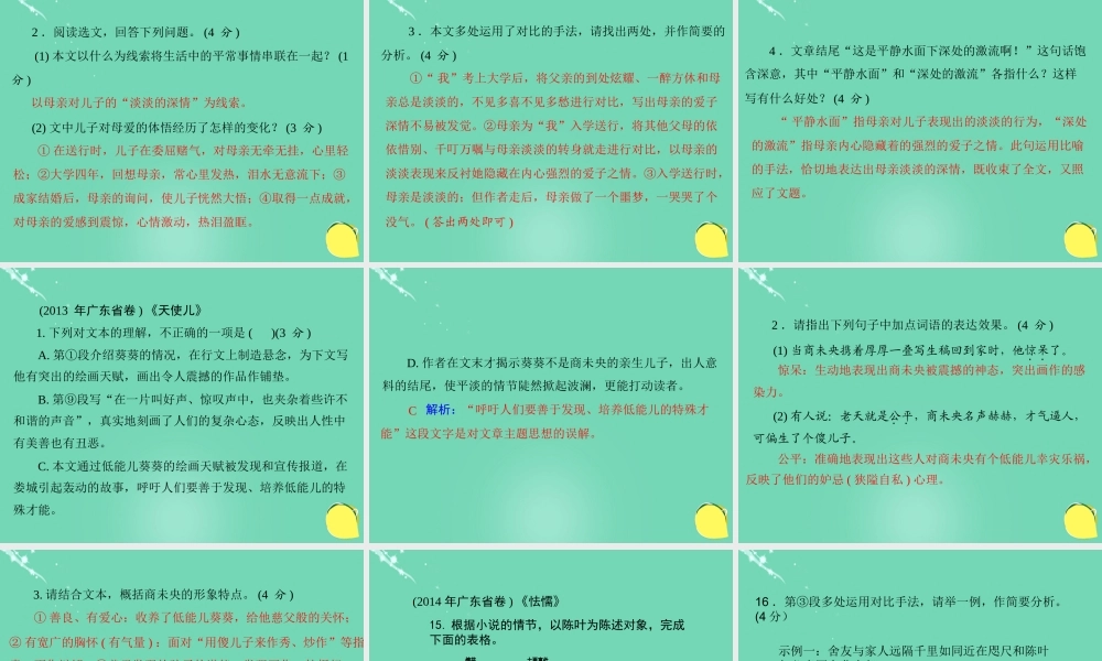 广东省阳山县中考语文 文学作品阅读备考略谈课件