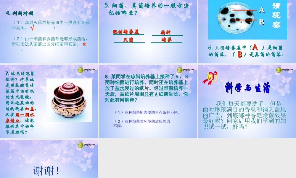 八年级生物上册 第四章 第一节 细菌和真菌的分布课件 新人教版 课件