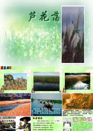 八年级语文上册 芦花荡 教学辅助材料课件 人教版 课件