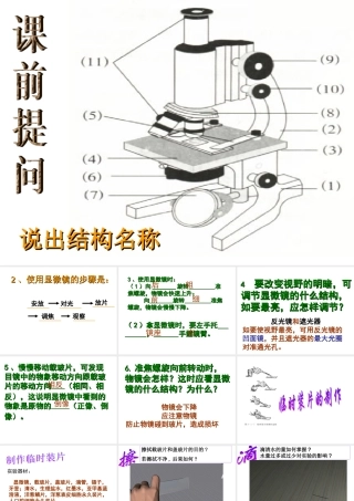 2.2-细胞(第3课时制作临时装片)