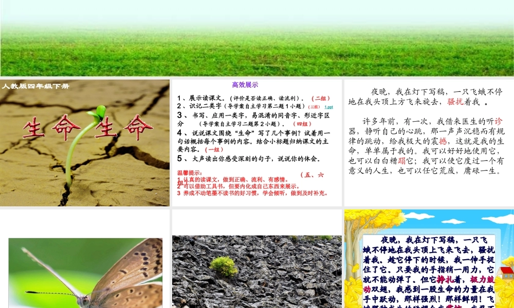 《生命生命》课件 (3)