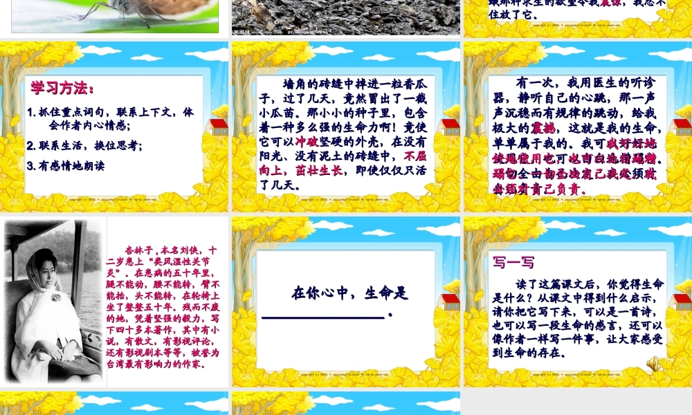 《生命生命》课件 (3)