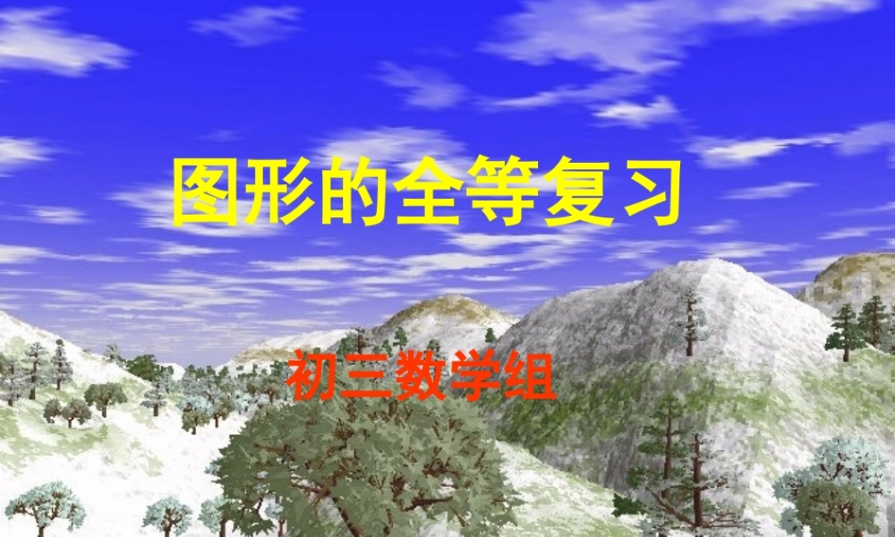 全等的图形复习课件示例 课件