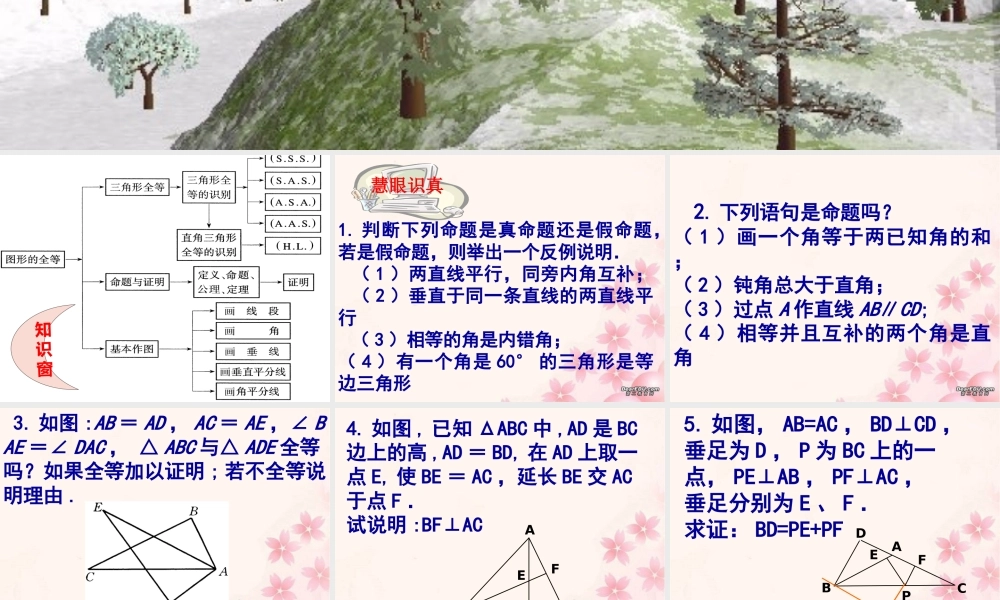 全等的图形复习课件示例 课件