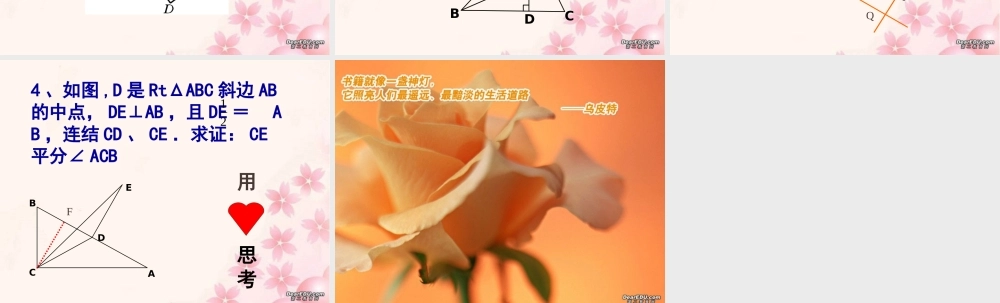 全等的图形复习课件示例 课件