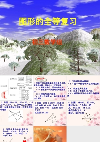 全等的图形复习课件示例 课件