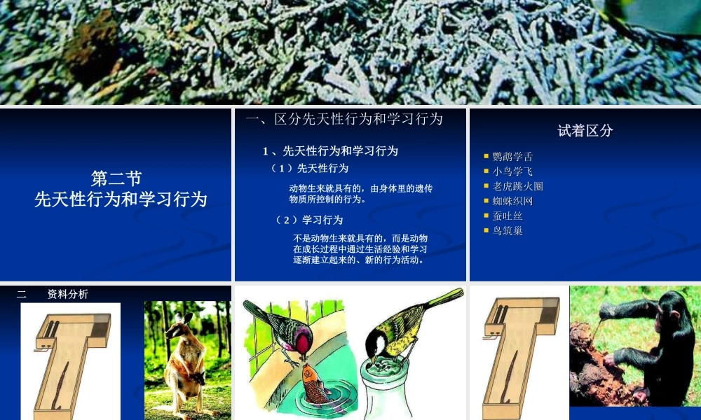 八年级生物第二节先天性行为和学习行为课件