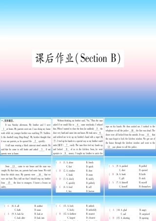 九年级英语全册 Unit 13 We re trying to save the earth Section B课后作业课堂导练课件(含中考真题)(新版)人教新目标版 课件