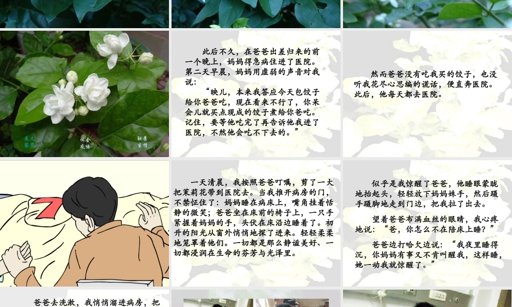 五年级语文爱如茉莉