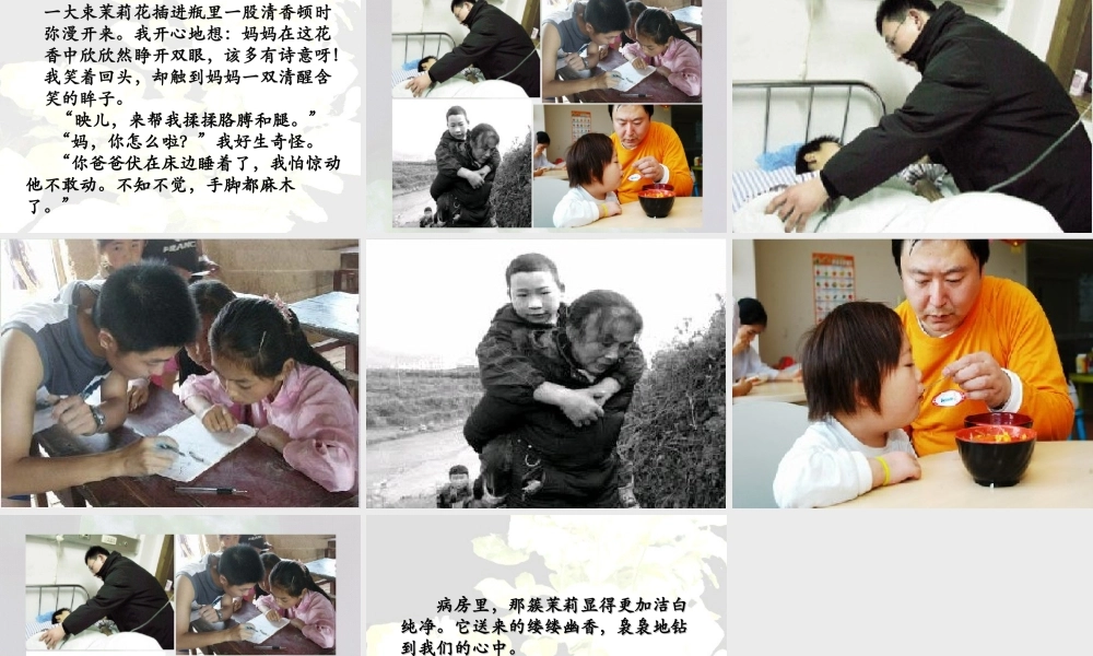 五年级语文爱如茉莉