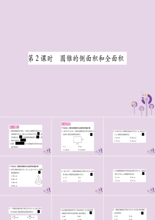 九年级数学上册 第二十四章 圆 244 弧长及扇形的面积 第2课时作业课件 (新版)新人教版 课件