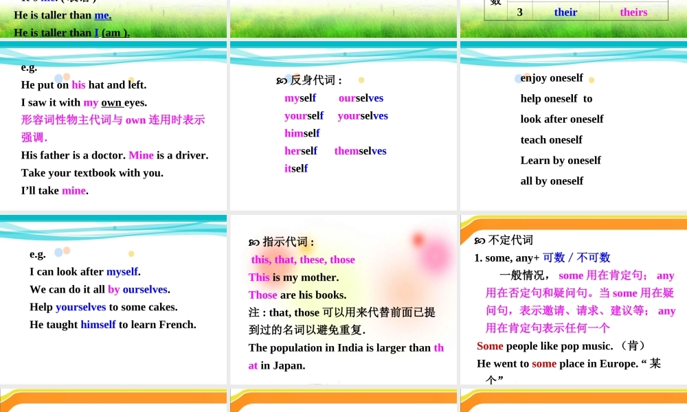 中考复习——代词