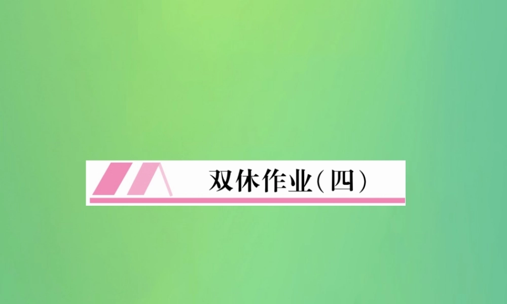 九年级英语全册 双休作业(四)课件 (新版)人教新目标版 课件