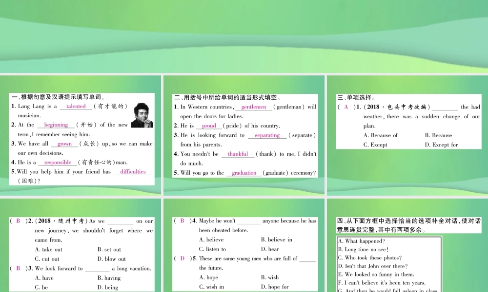 九年级英语全册 双休作业(四)课件 (新版)人教新目标版 课件