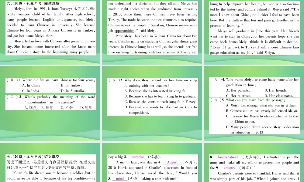 九年级英语全册 双休作业(四)课件 (新版)人教新目标版 课件