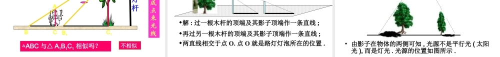 投影 九年级数学下29.1 投影课件人教版