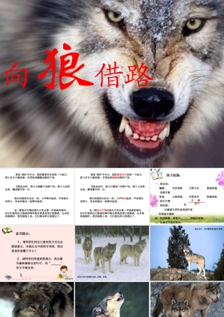 小学语文《向狼借路》教学课件