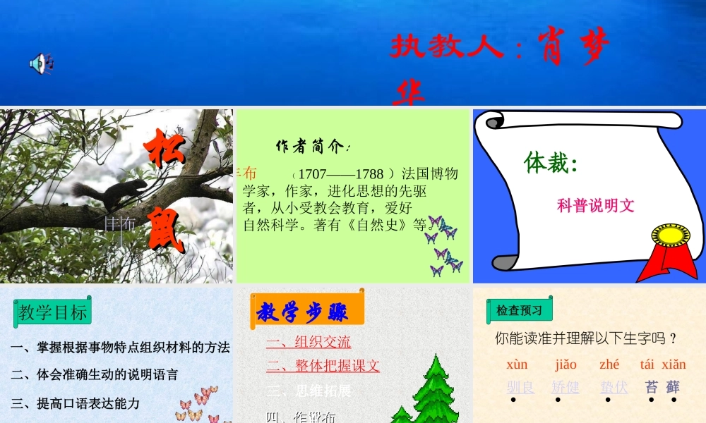 八年级语文松鼠课件1苏教版 课件