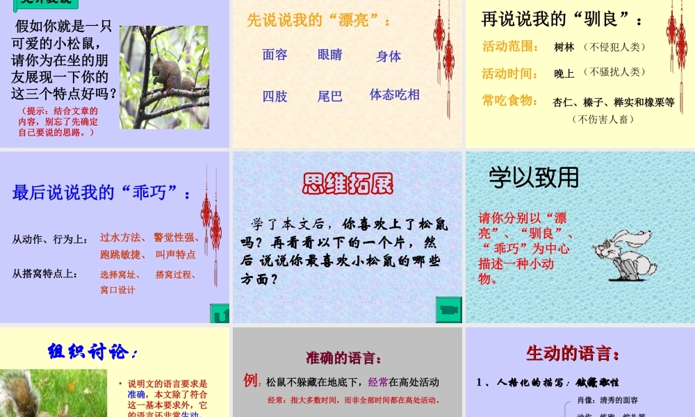 八年级语文松鼠课件1苏教版 课件