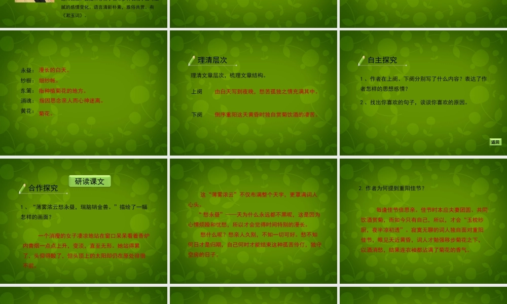 八年级语文下册(21 宋词四首)醉花阴课件 北京课改版 课件