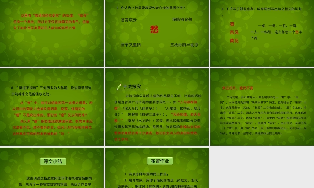 八年级语文下册(21 宋词四首)醉花阴课件 北京课改版 课件