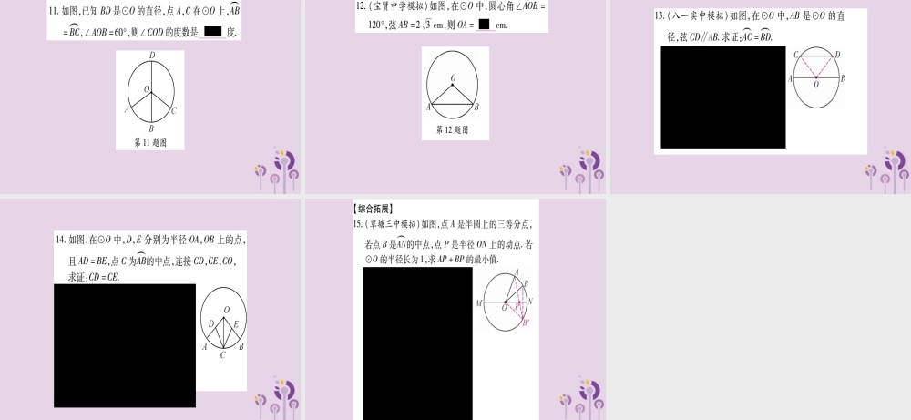 九年级数学下册 第2章 圆 22 圆心角、圆周角 221 圆心角作业课件 (新版)湘教版 课件