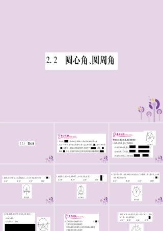 九年级数学下册 第2章 圆 22 圆心角、圆周角 221 圆心角作业课件 (新版)湘教版 课件