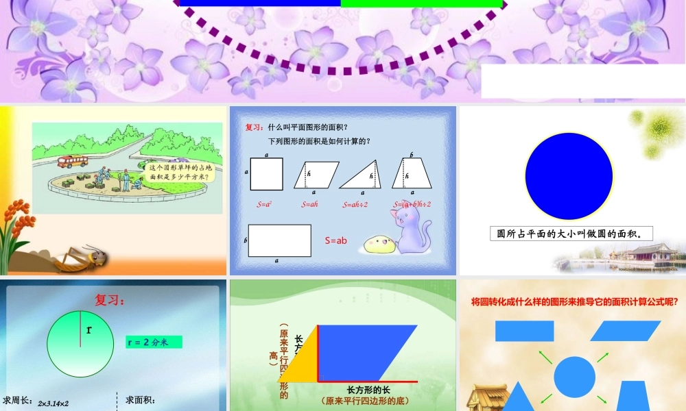 人教版六年级数学上册第四单元第五课时_圆的面积(例1)