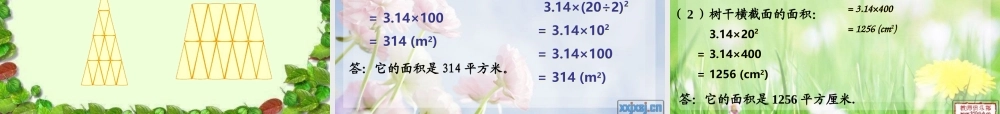 人教版六年级数学上册第四单元第五课时_圆的面积(例1)