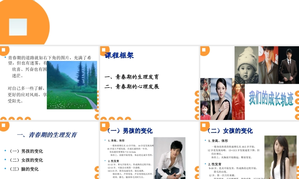 穿越迷雾追寻真我