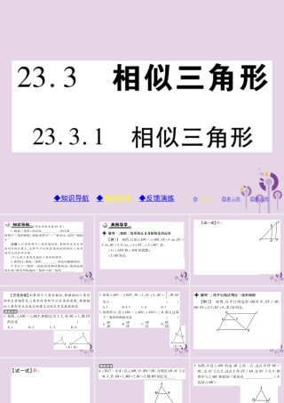 九年级数学上册 第23章 图形的相似 233 相似三角形 2331 相似三角形习题课件 (新版)华东师大版 课件