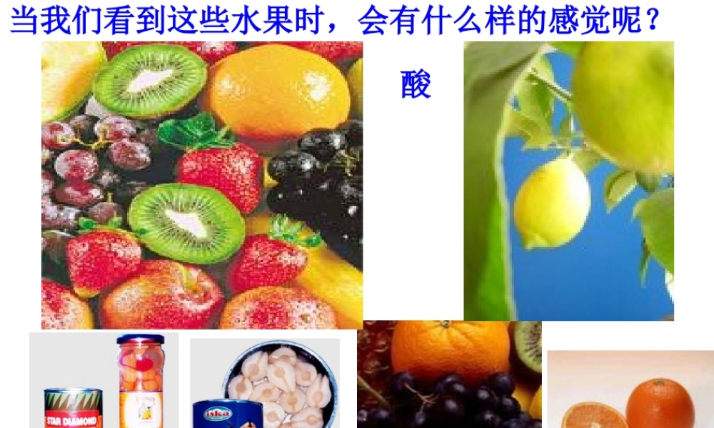 初中科学：探索酸的性质课件
