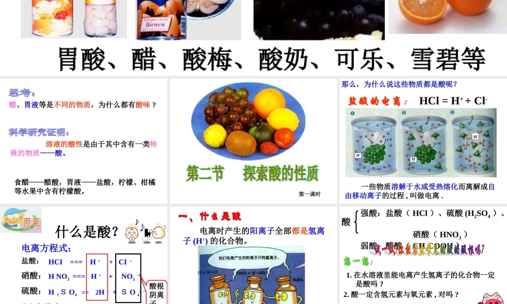 初中科学：探索酸的性质课件