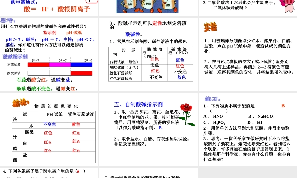 初中科学：探索酸的性质课件