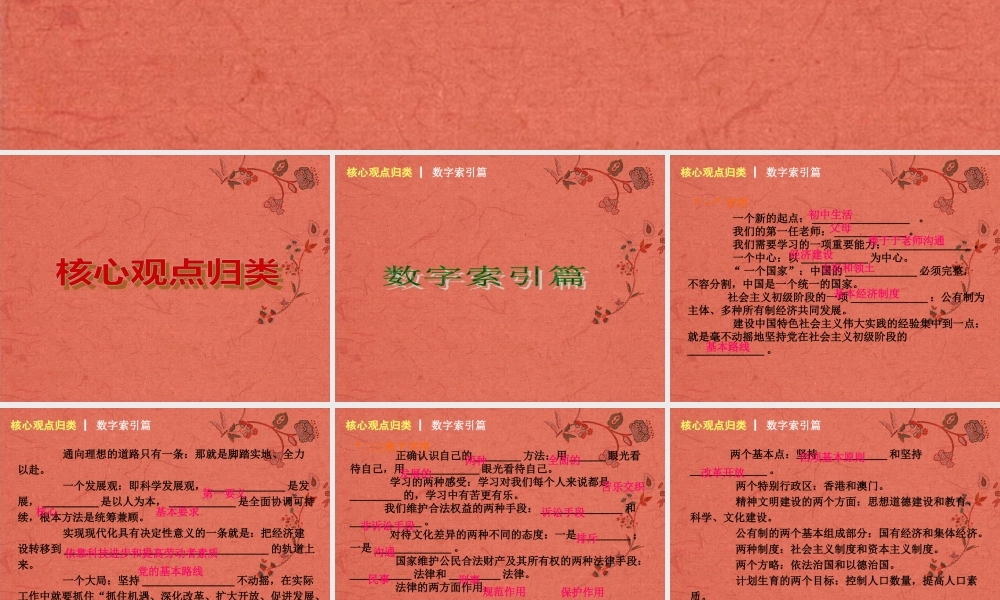 中考政治 专题突破十 核心观点课件 新人教版 课件