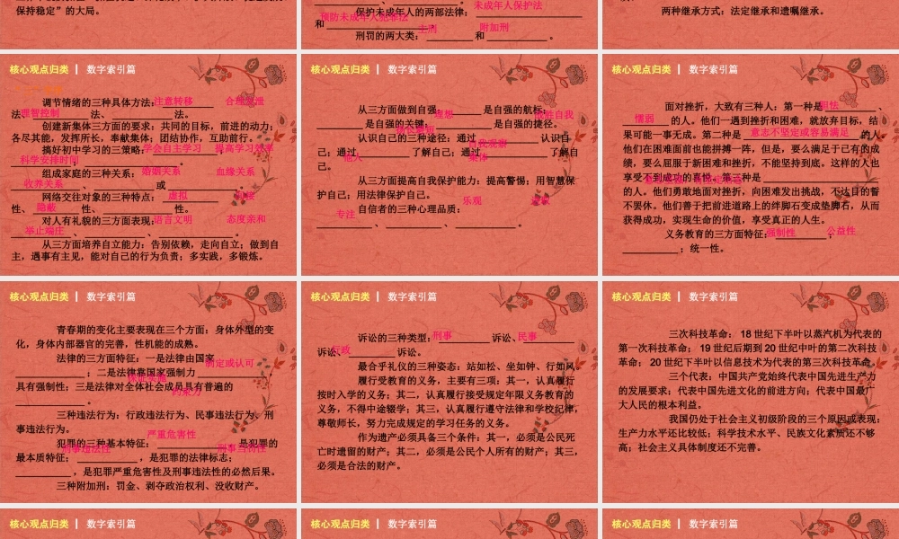 中考政治 专题突破十 核心观点课件 新人教版 课件