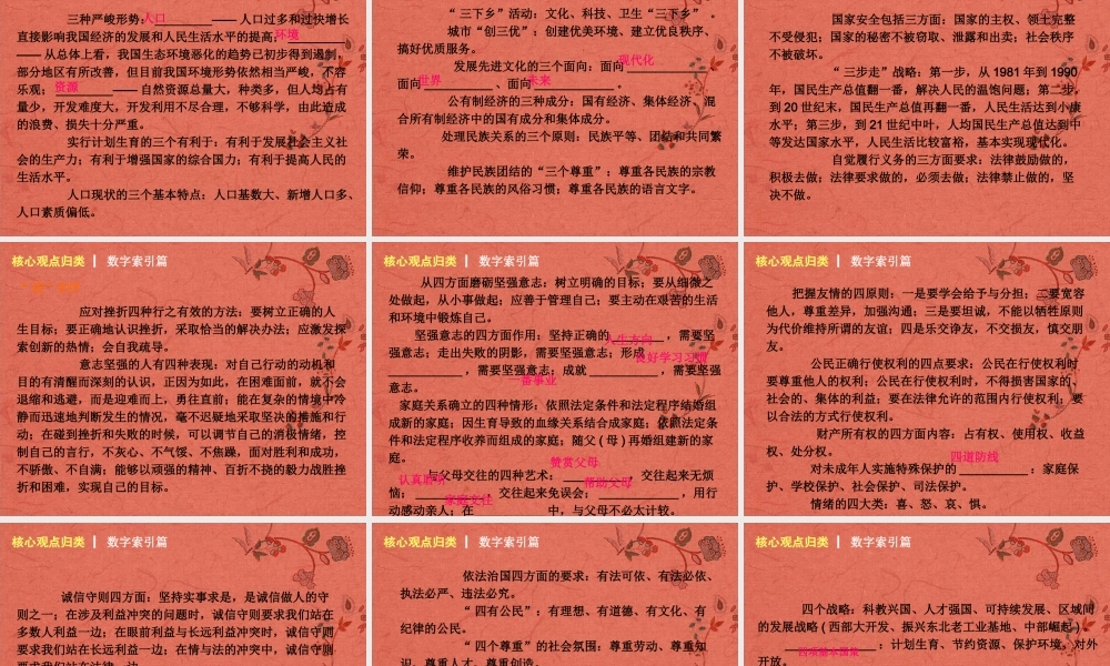 中考政治 专题突破十 核心观点课件 新人教版 课件