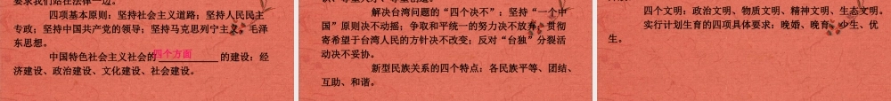 中考政治 专题突破十 核心观点课件 新人教版 课件