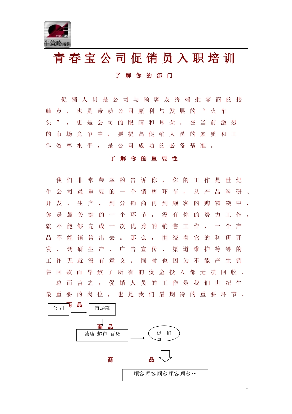 公司促销员入职培训_第1页