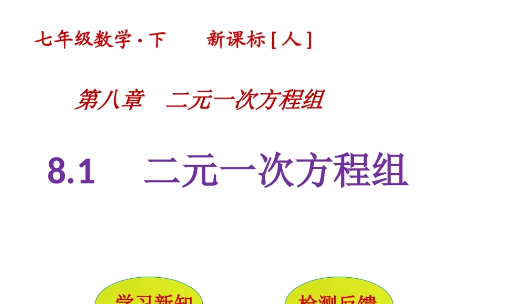 二元一次方程-组